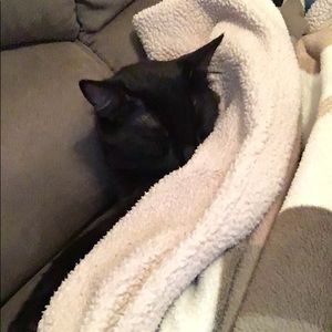 Meet your Posher, Roxanne